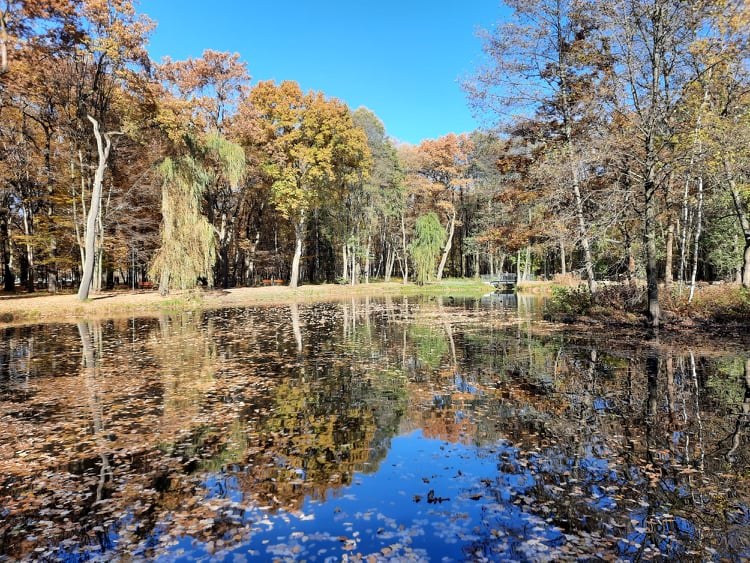 Park Zielona, Dąbrowa Górnicza