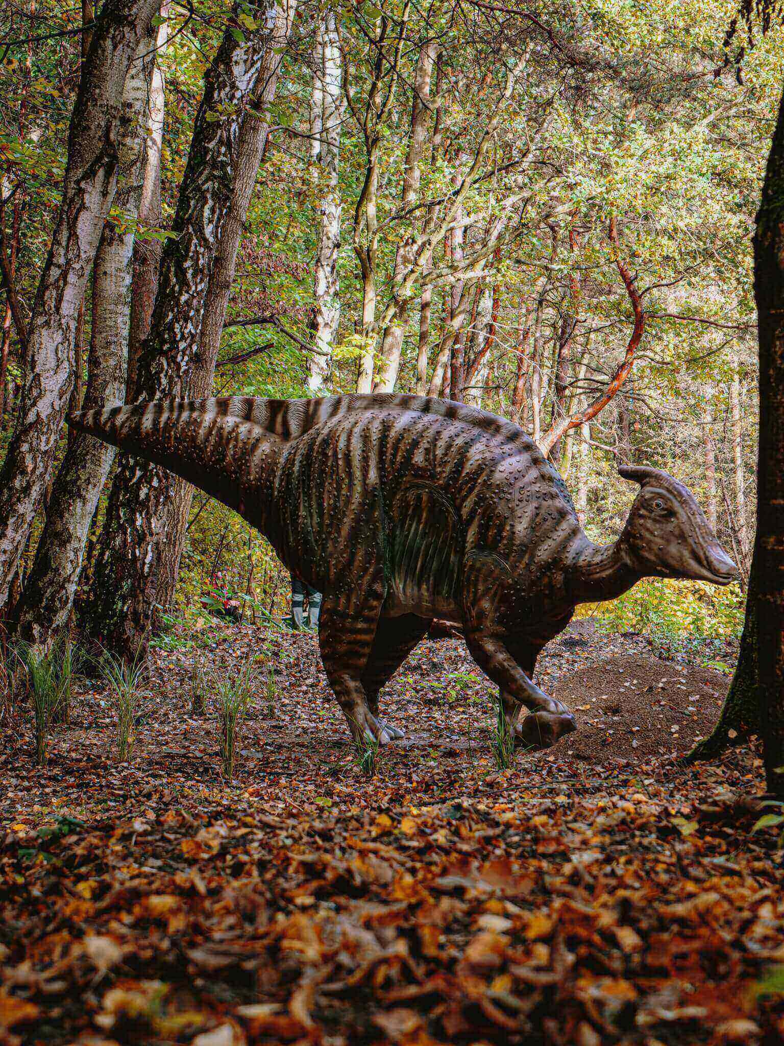 Dinozaury w Parku Kuronia w Sosnowcu