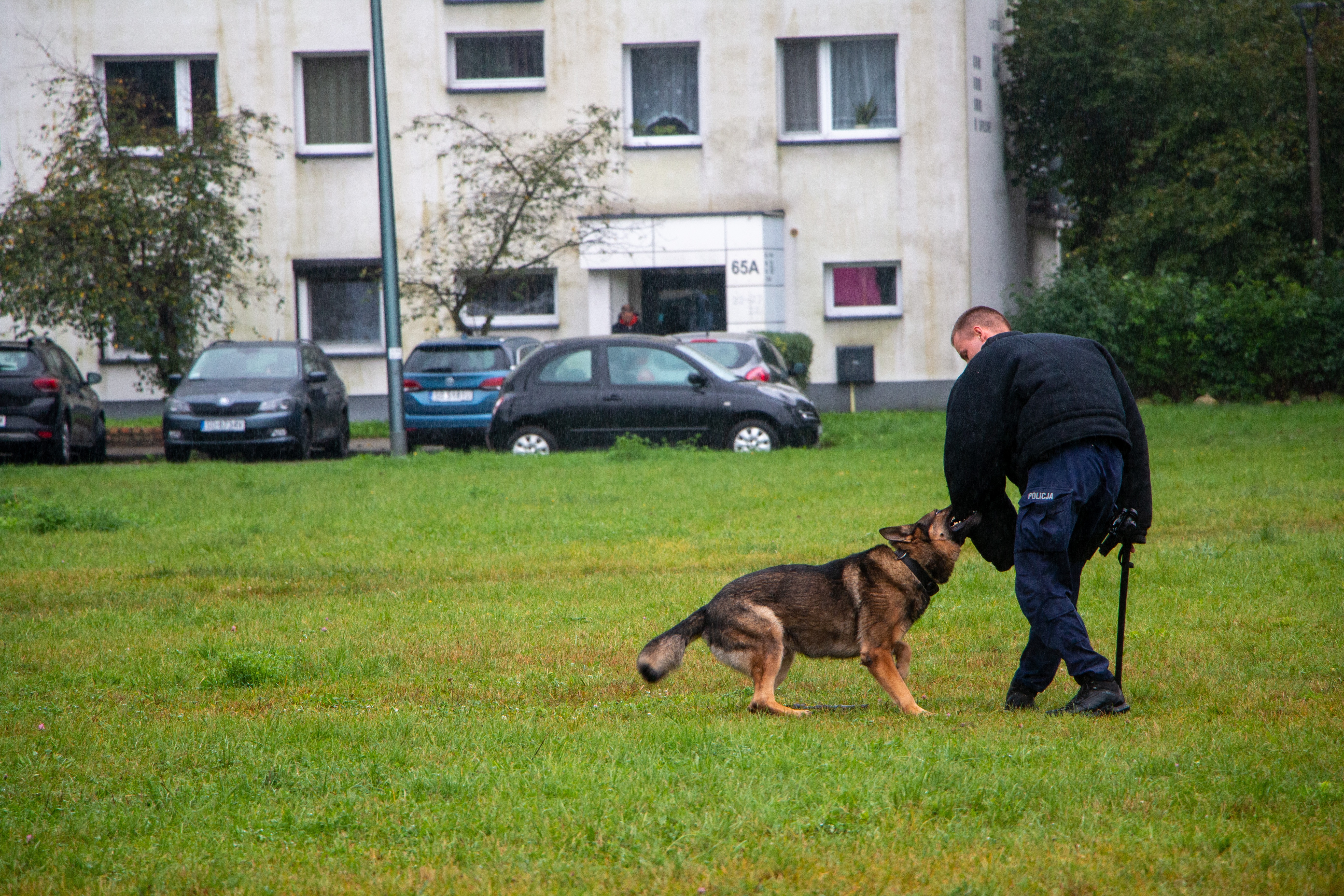 Festyn dla Kuby
