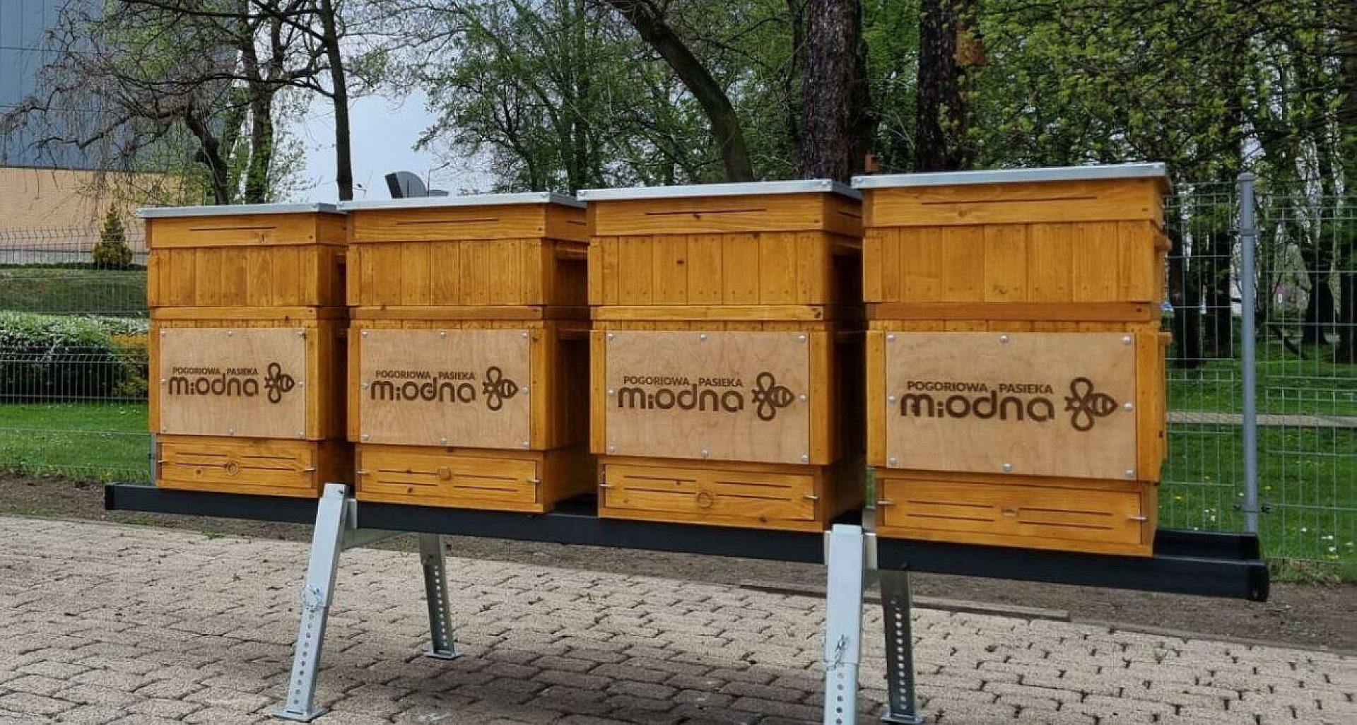 Pogoriowa Pasieka Miodna Pogoriowa Pasieka Miodna