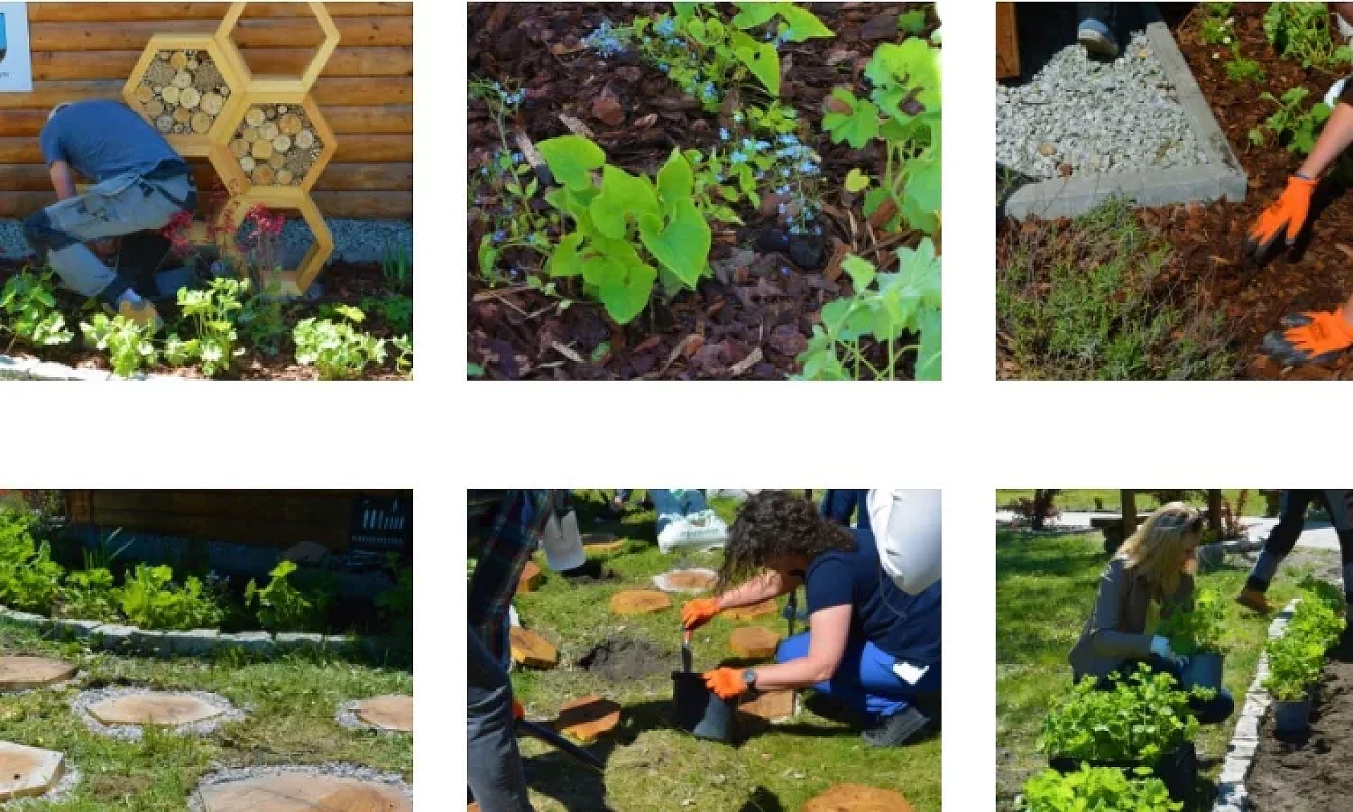 Warsztaty z tworzenia ogrodów deszczowych Warsztaty z tworzenia ogrodów deszczowych