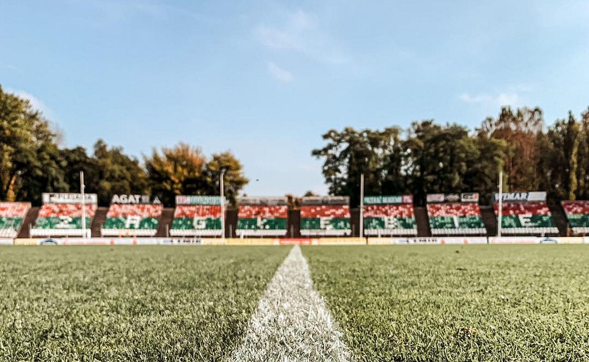 278974609 8132333030125590 4919002788593896154 n 278974609 8132333030125590 4919002788593896154 n