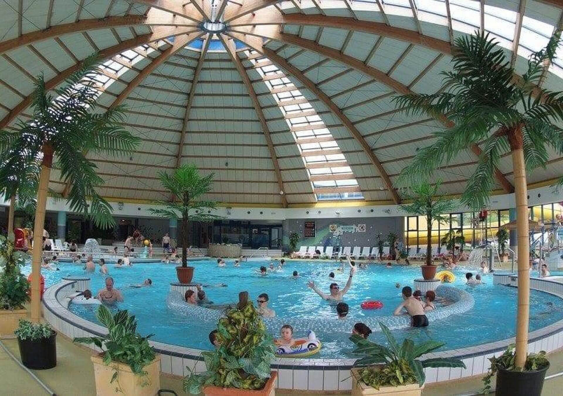 Nemo Wodny Świat Nemo Wodny Świat