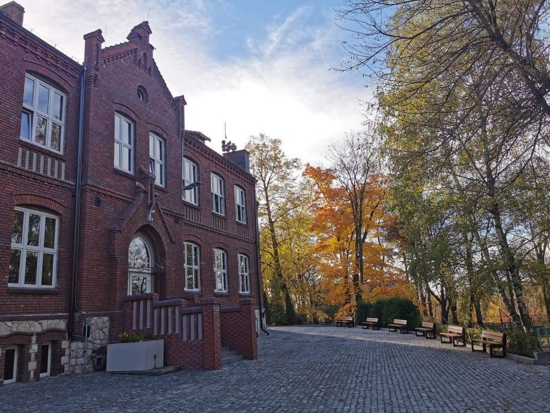 Zielona pracownia w sp 35 sosnowiec Zielona pracownia w sp 35 sosnowiec