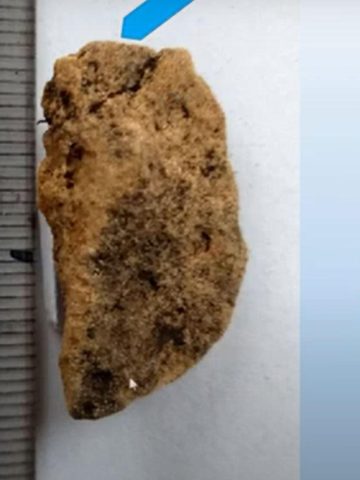 Kolejny odłupek w próbce z Bukowej Góry Kolejny odłupek w próbce z Bukowej Góry