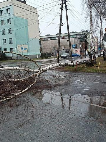 Strażacy mieli pełne ręce roboty Strażacy mieli pełne ręce roboty