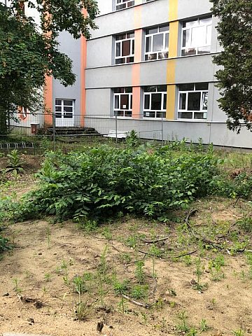 Zespół Szkół Zespół Szkół