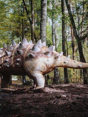 Dinozaury w Parku Kuronia w Sosnowcu Dinozaury w Parku Kuronia w Sosnowcu