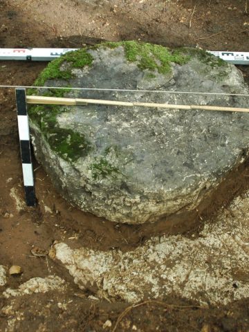 Jeden z okrągłych głazów na Bukowej Górze Jeden z okrągłych głazów na Bukowej Górze