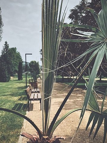 Park bioróżnorodności Park bioróżnorodności