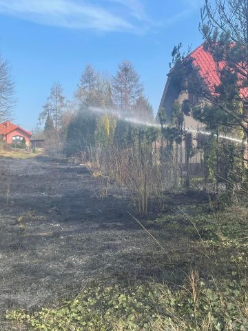 Podpalenie traw będzin Podpalenie traw będzin