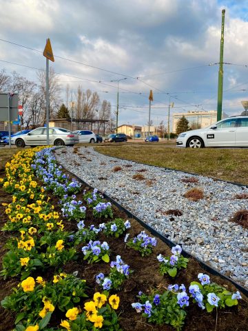Hołd dla obywatelek Ukrainy Hołd dla obywatelek Ukrainy