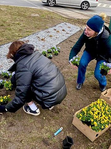 Kwiaty w kolorze flagi Ukrainy Kwiaty w kolorze flagi Ukrainy