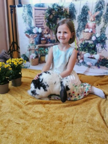 Królik model Królik model