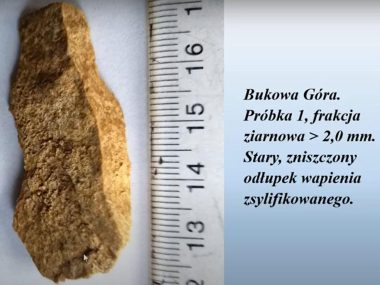 Odłupek w jednej z próbek z Bukowej Góry Odłupek w jednej z próbek z Bukowej Góry