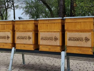 Pogoriowa Pasieka Miodna