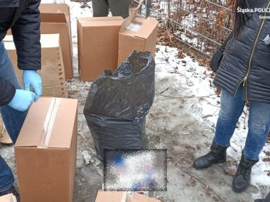 Nielegalne alkohol i papierosy, marihuana i... Nielegalne alkohol i papierosy, marihuana i...