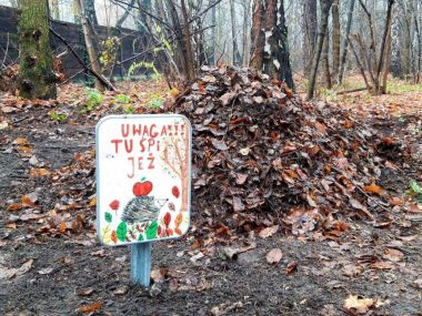Uwaga tu śpi jeż Uwaga tu śpi jeż