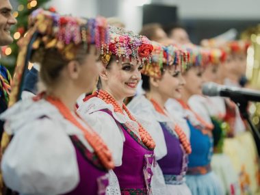 Zespół Pieśni i Tańca Śląsk Zespół Pieśni i Tańca Śląsk