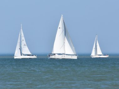 Zajęcia z PolSailingu dla dzieci w Sosnowcu Zajęcia z PolSailingu dla dzieci w Sosnowcu