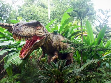 W Parku im. Jacka Kuronia powstanie park dinozaurów W Parku im. Jacka Kuronia powstanie park dinozaurów
