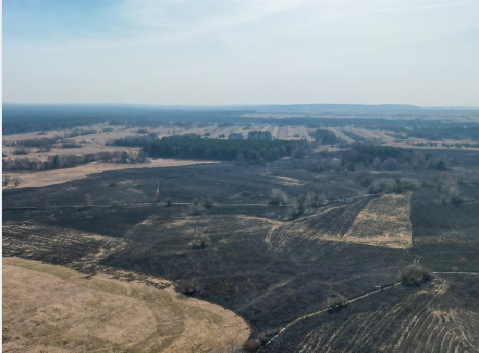 pożar traw w Siewierzu