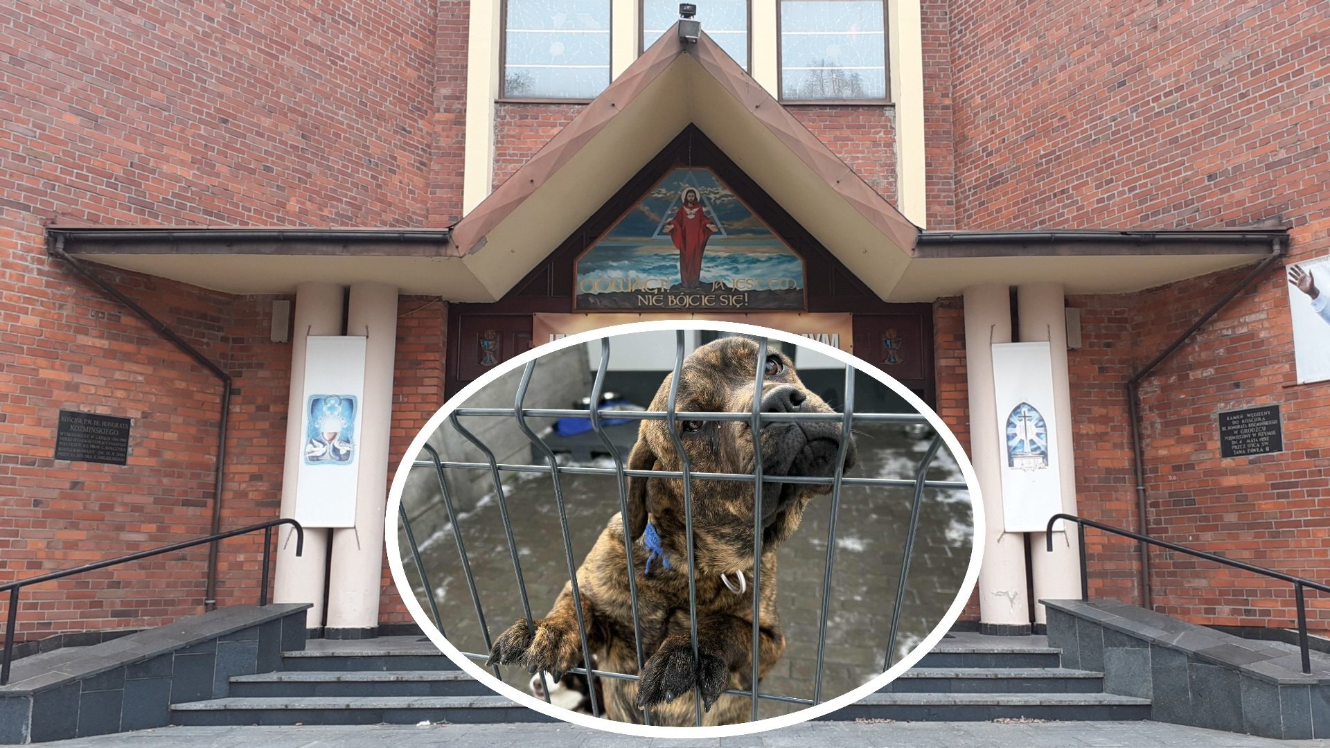 Będzin-Grodziec. Charytatywny koncert kolęd na rzecz fundacji opiekującej się bezdomnymi psami