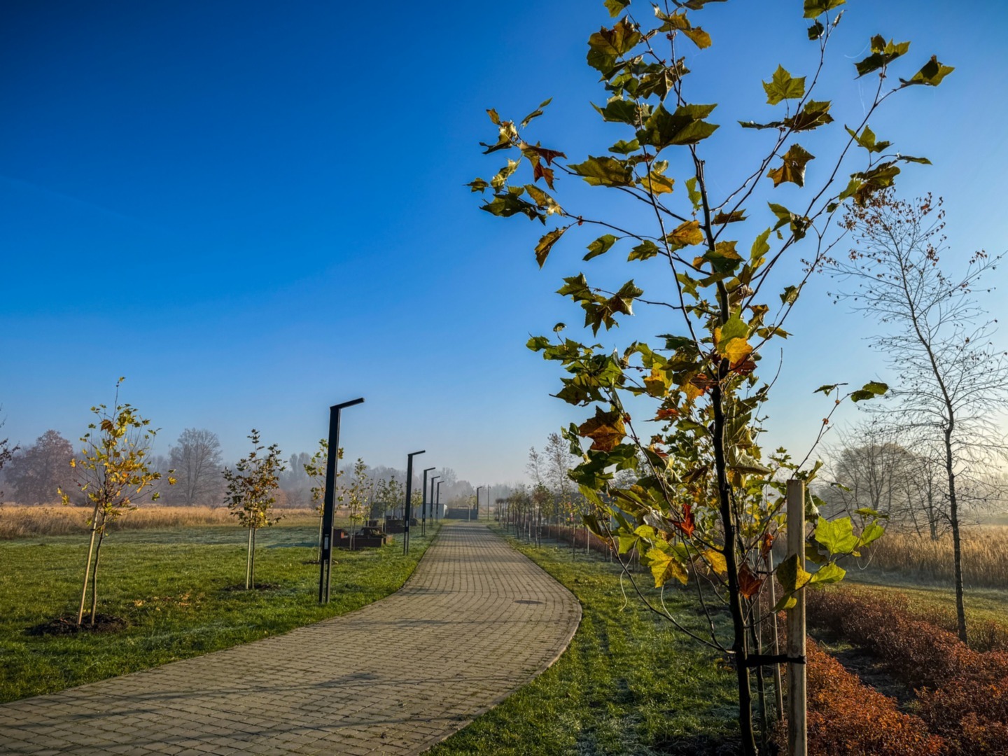 Będzin. Park przy miejskiej plaży. Listopad 2025.