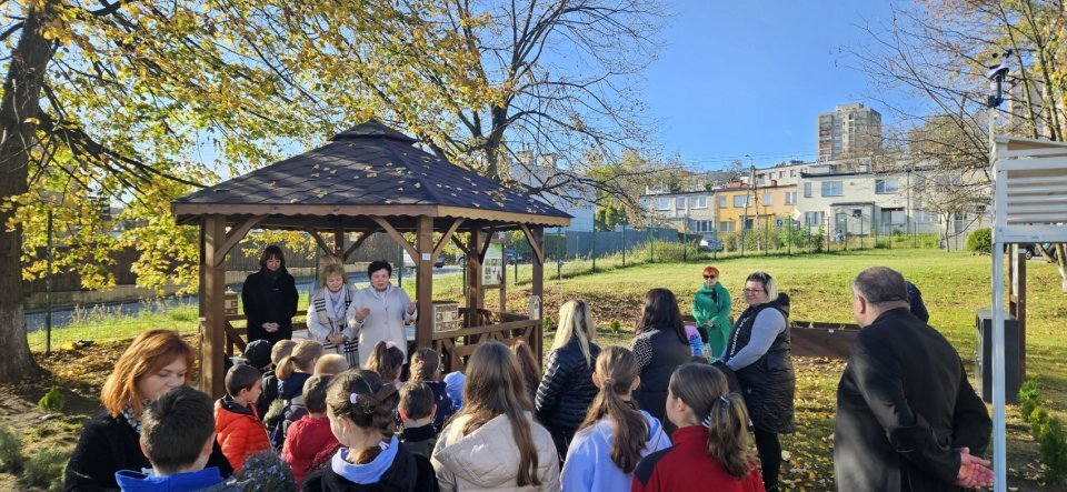 Bedzin Szkola Podstawowa Nr 11 Ekopracownia Zrodlo Lukasz Komoniewski 2023 11 07 01