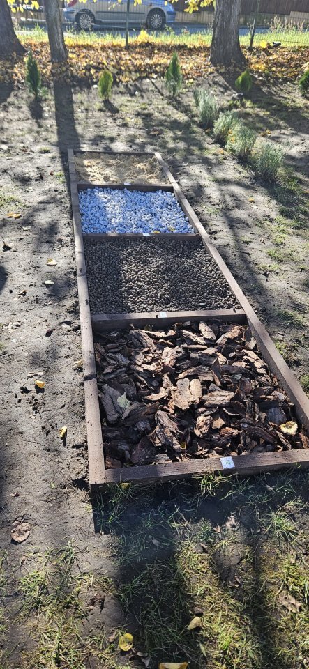 Bedzin Szkola Podstawowa Nr 11 Ekopracownia Zrodlo Lukasz Komoniewski 2023 11 07 06