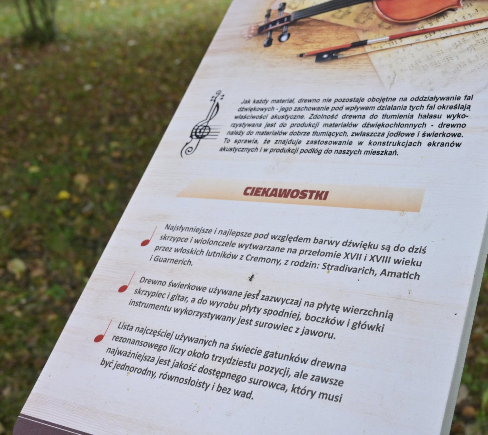 Będzin. Szkoła Podstawowa Nr 9. «Ekopracownia Pod Chmurką – bliżej natury» otwarta. 23 września 2025.