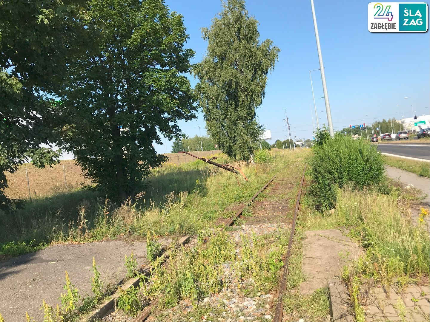 Czeladź. Ul. Będzińska. Uszkodzone słupy tramwajowej trakcji elektrycznej po kradzieży przewodów. 13 sierpnia 2025.