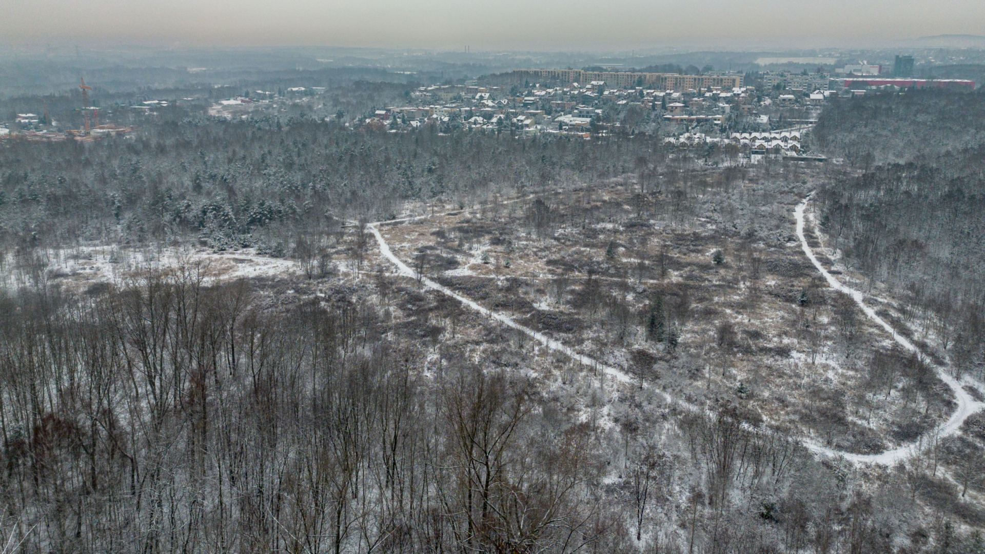Park Tysiąclecia w Milowicach będzie większy o ponad 20%. Darowizna od «SRK» dla Sosnowca