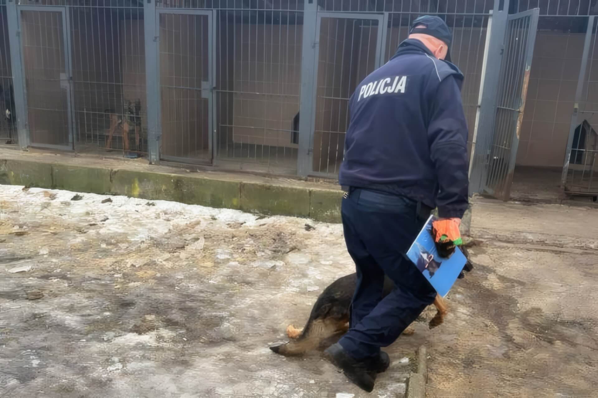 Kontrola weterynaryjna u psów w Policji. To efekt interwencji poselskiej w sosnowieckim komisariacie. Łukasz Litewka twierdzi, iż zwierzę ma złe warunki, policjanci – zaprzeczają