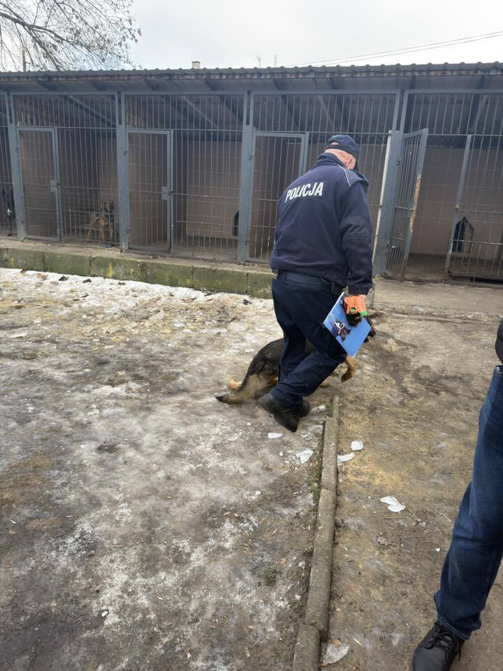 Sosnowiec-Niwka. IV Komisariat KMP w Sosnowcu. Interwencja poselska Łukasza Litewki w sprawie warunków, jakie ma policyjny pies. 31 stycznia 2026.