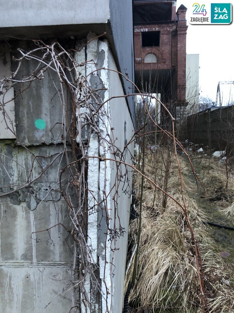 Sosnowiec Sielec Elektrownia Hr Renard Po Przebudowie Opuszczona Fot Robert Lechowski 2025 02 06 08