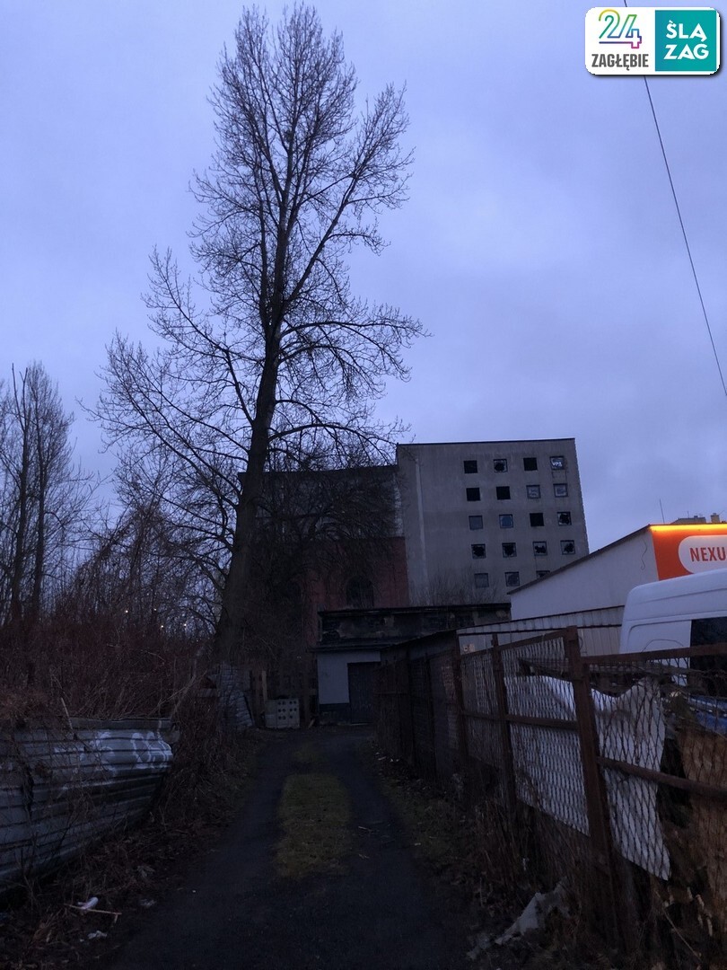 Sosnowiec Sielec Elektrownia Hr Renard Po Przebudowie Opuszczona Fot Robert Lechowski 2025 02 06 38