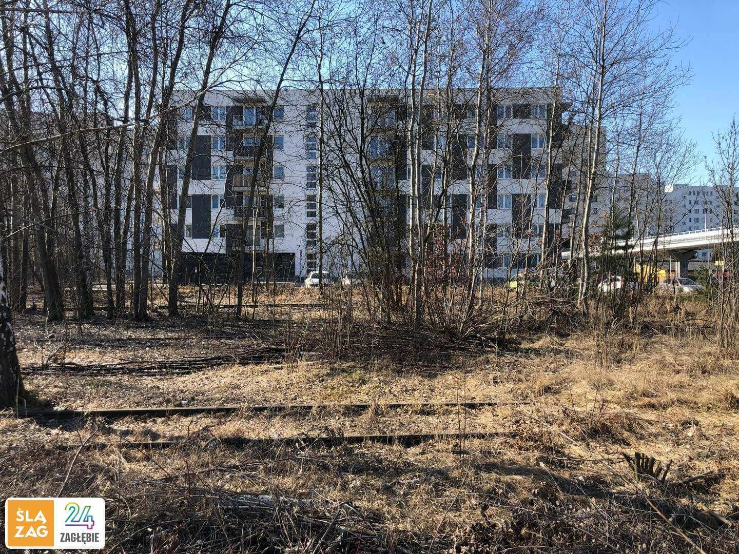 Sosnowiec. Stacja Sosnowiec Południowy. 9 marca 2026