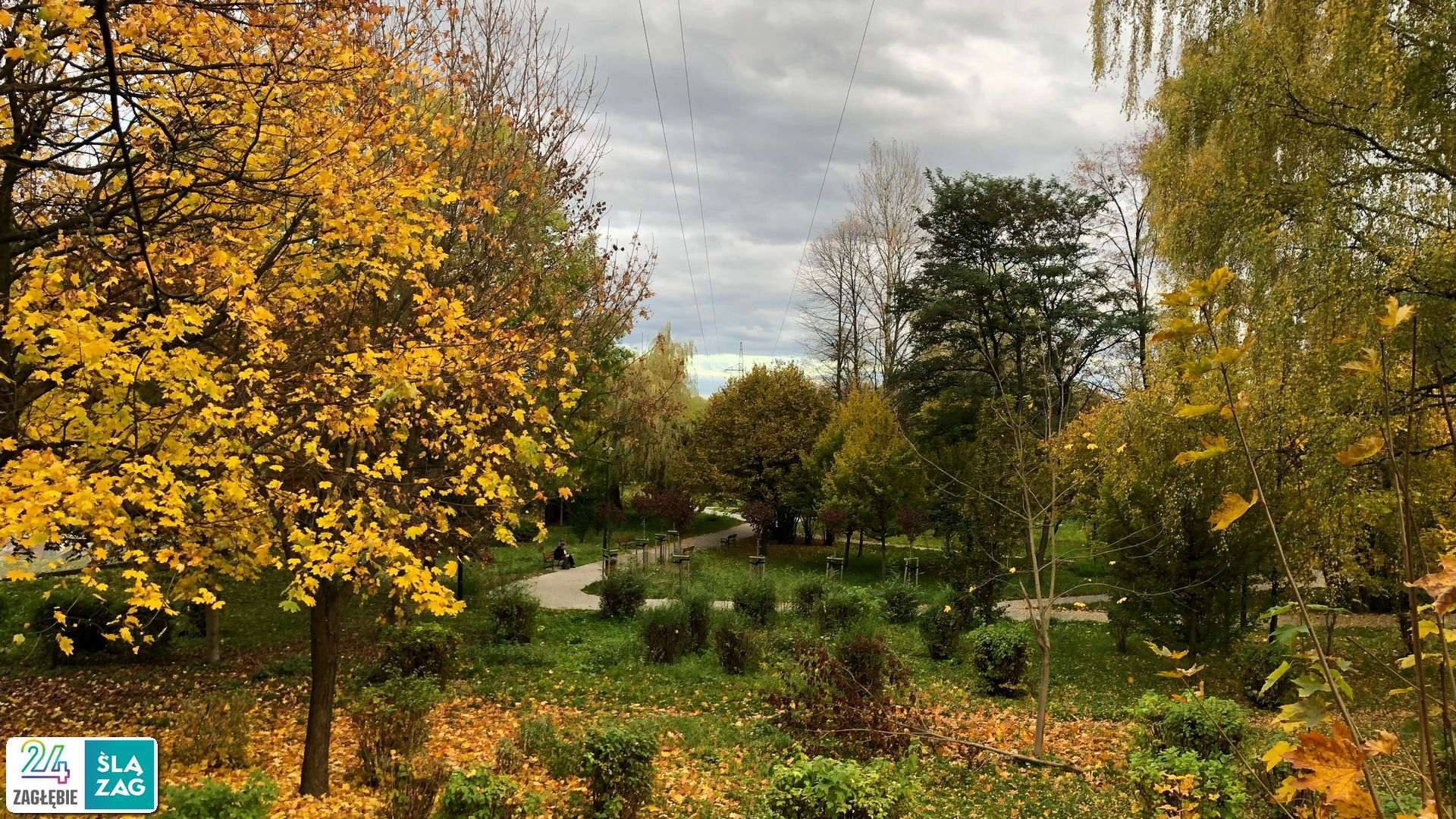 Najfajniejszy park osiedlowy w Sosnowcu? Naszym zdaniem to park Kępa w Zagórzu po rewitalizacji. GALERIA