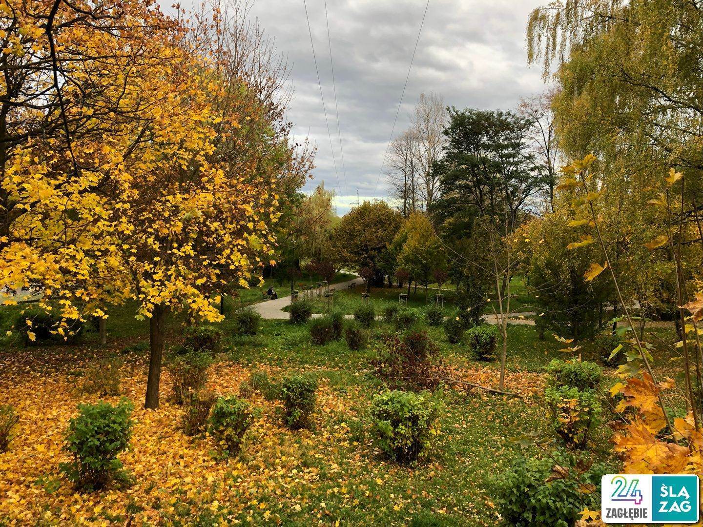 Sosnowiec-Zagórze. Park Kępa po rewitalizacji. 23 października 2025.