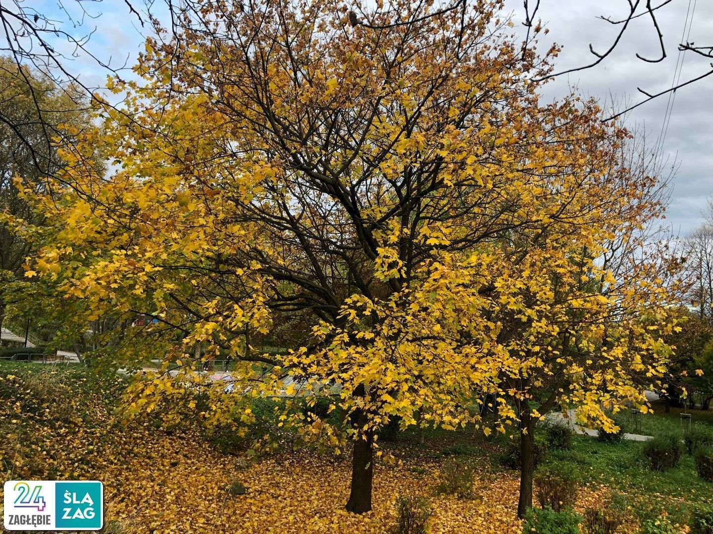 Sosnowiec-Zagórze. Park Kępa po rewitalizacji. 23 października 2025.