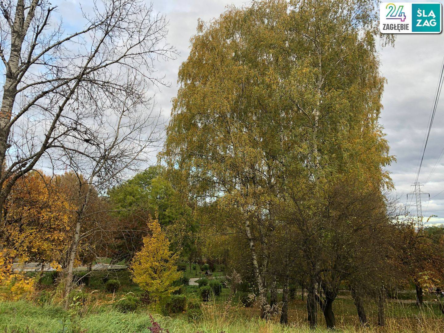 Sosnowiec-Zagórze. Park Kępa po rewitalizacji. 23 października 2025.