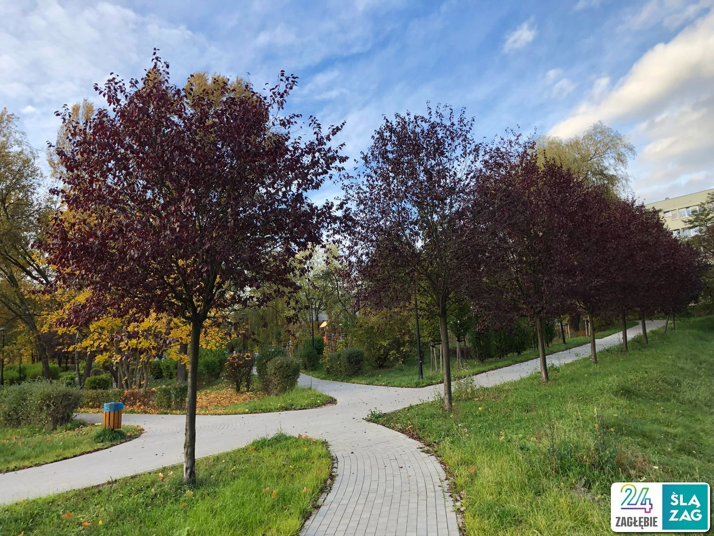 Sosnowiec-Zagórze. Park Kępa po rewitalizacji. 23 października 2025.