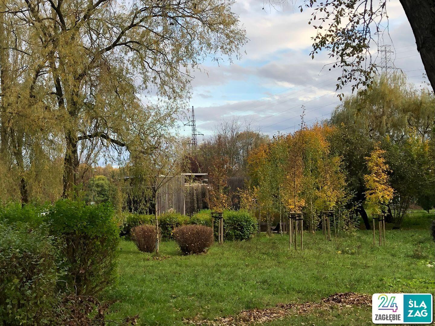 Sosnowiec-Zagórze. Park Kępa po rewitalizacji. 23 października 2025.