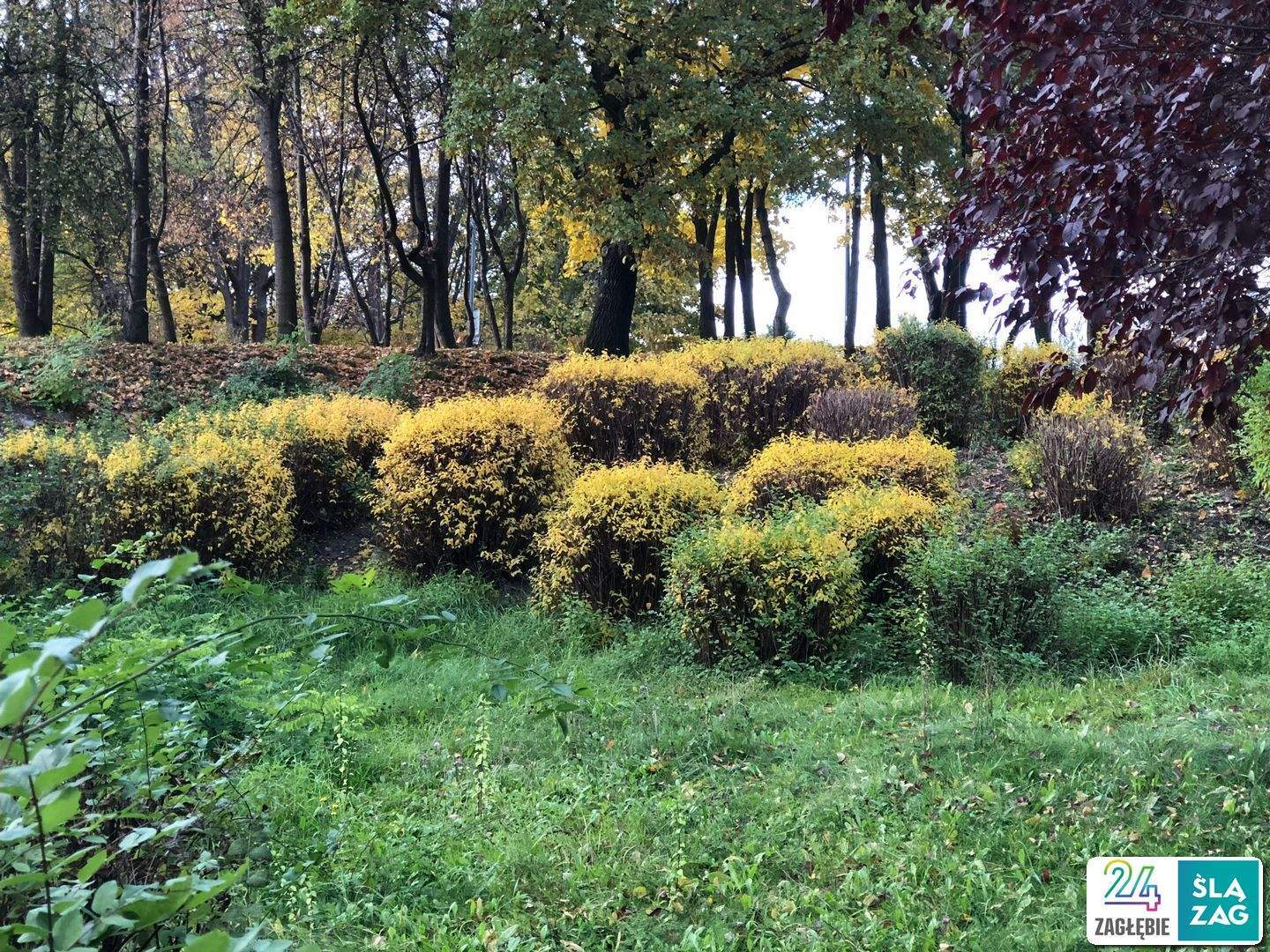 Sosnowiec-Zagórze. Park Kępa po rewitalizacji. 23 października 2025.