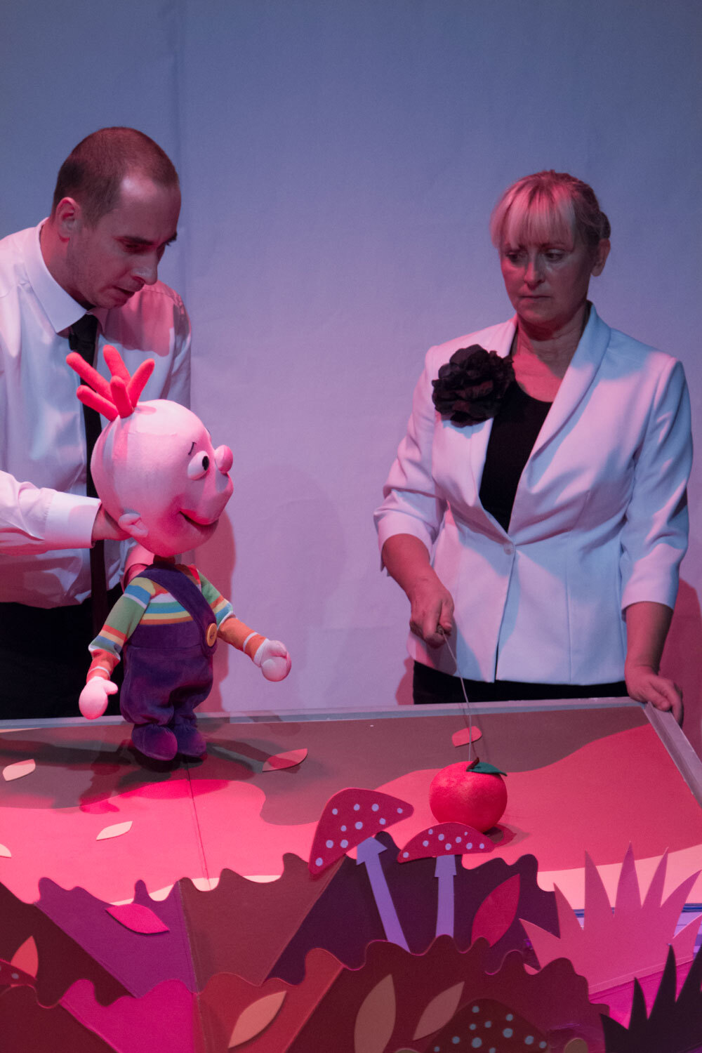 Spektakl „Hopla! Jesień, zima, wiosna!”. «Teatr Dzieci Zagłębia» im. Jana Dormana w Będzinie zaprasza 20 grudnia 2025.