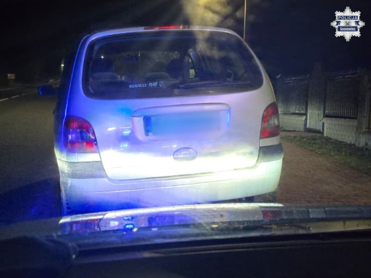 Strzyżowice. Zatrzymanie podejrzanego o rozbój w Sosnowcu. 27 marca 2026