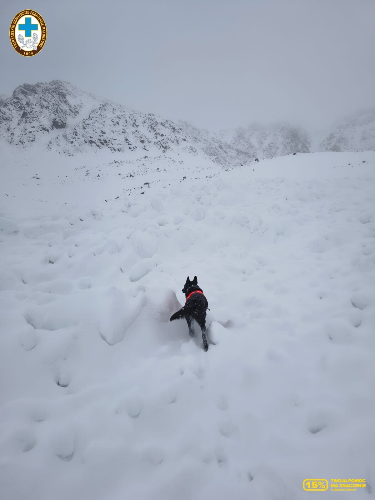 Tatry. Turysta z Sosnowca zginął pod lawiną śnieżną. 15 lutego 2026
