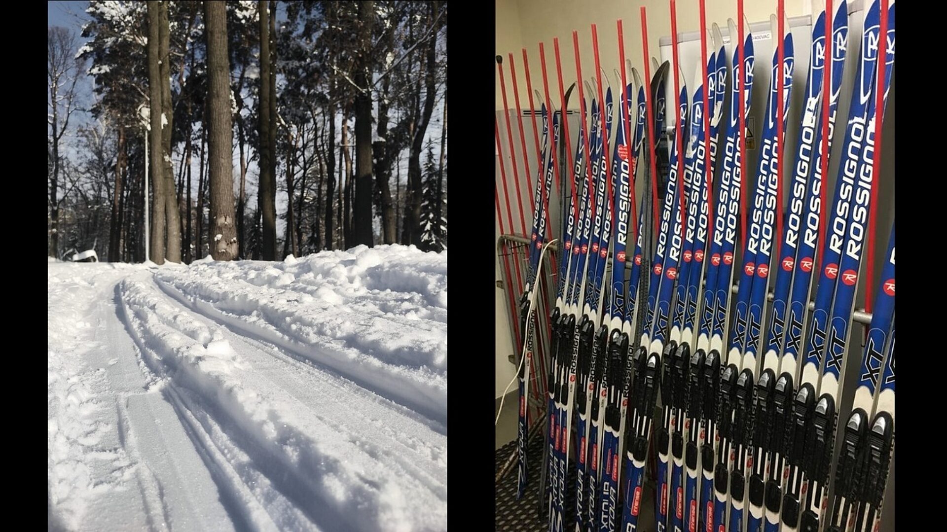 Dąbrowa Górnicza. Wypożyczalnia sprzętu do narciarstwa biegowego w parku Zielona. Dąbrowa Górnicza. Wypożyczalnia sprzętu do narciarstwa biegowego w parku Zielona.