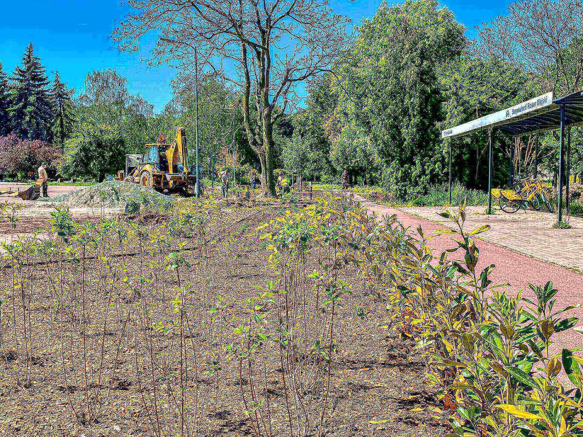 Park sielecki sosnowiec Park sielecki sosnowiec